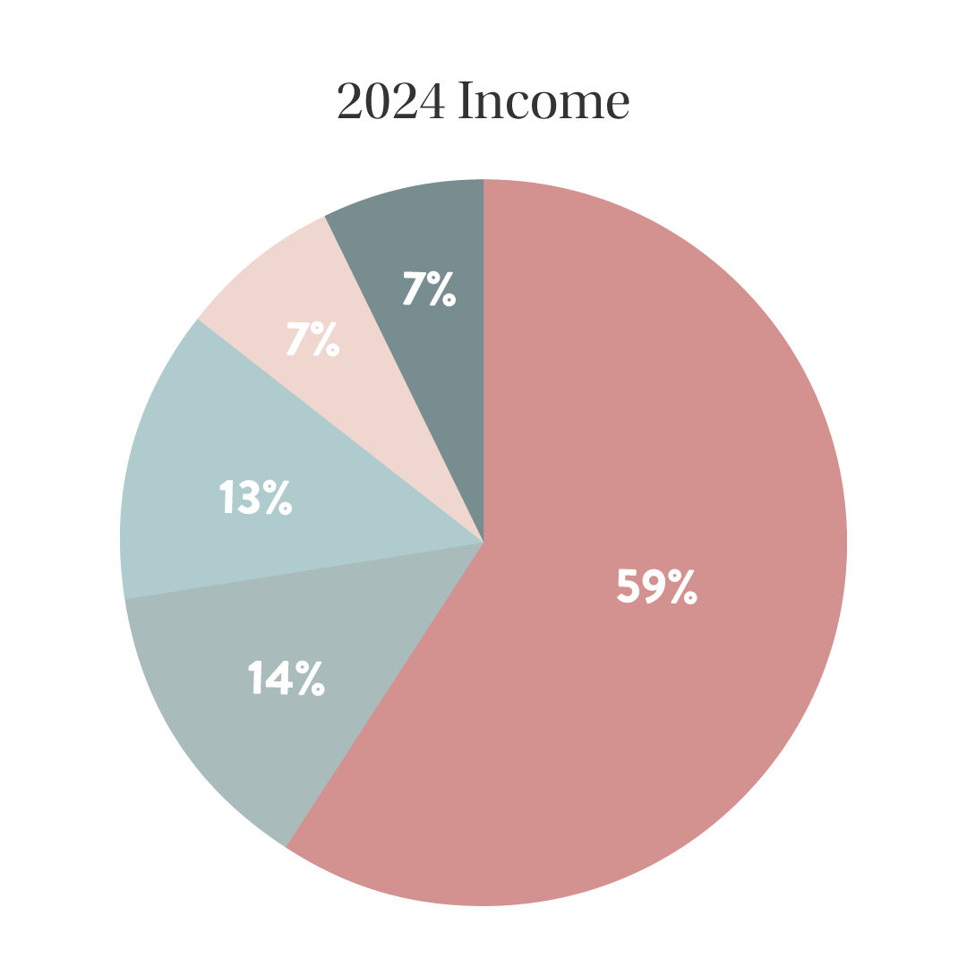 Income Pie Chart