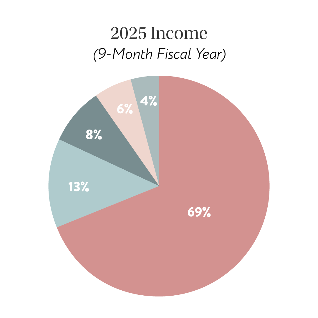 Income Pie Chart